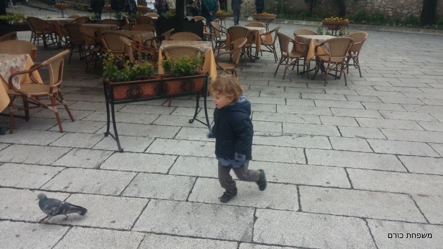 רודפים אחרי ציפורים בכיכר הכפר